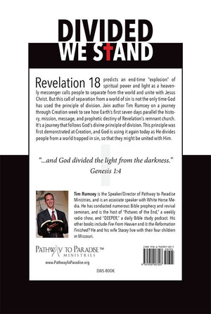 Divided We Stand (ePUB)