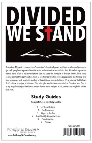 Divided We Stand (Study Guides)