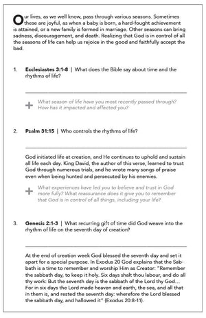 SabbathRest (Study Guides - Complete Set)