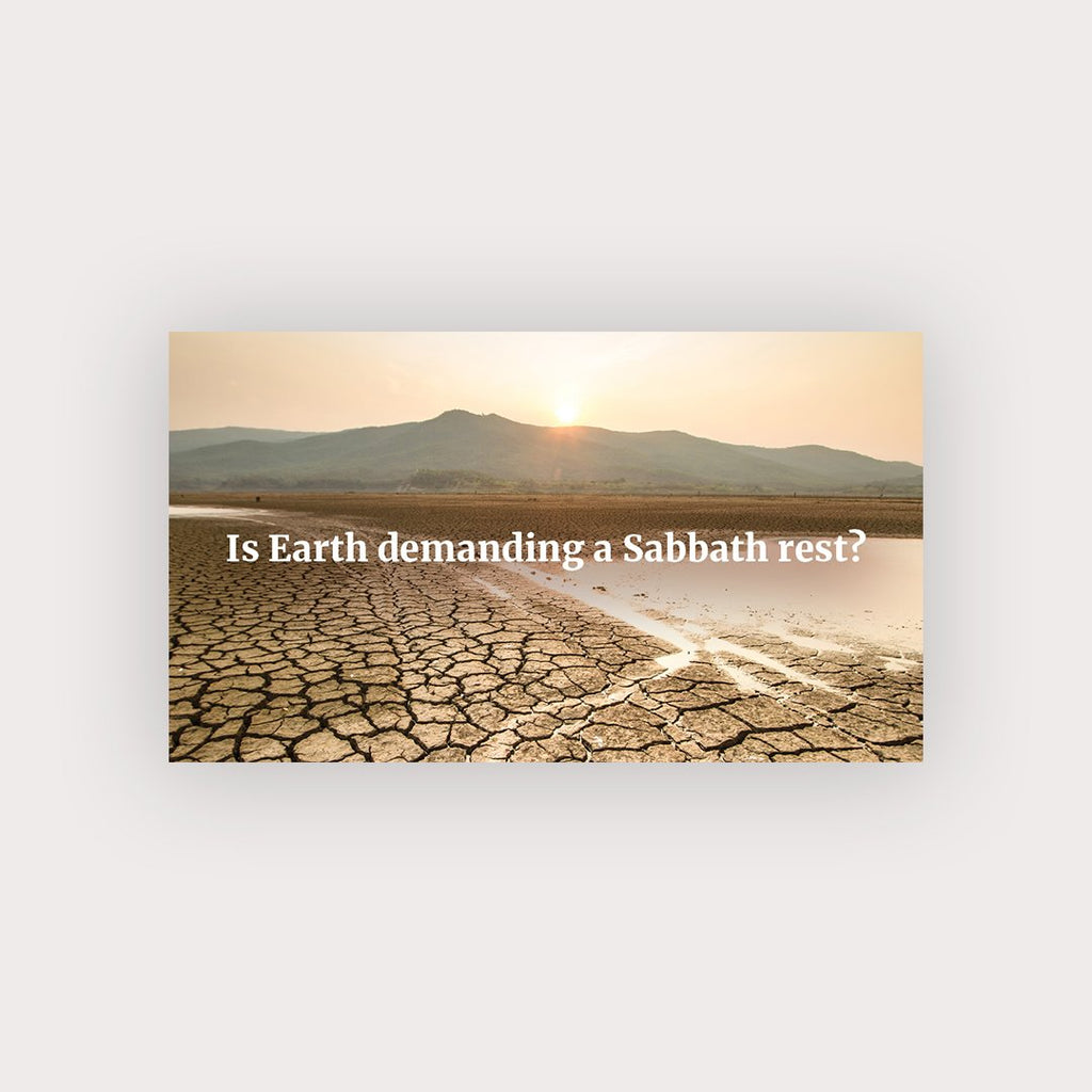 Sabbath Rest Business Cards - Pack of 100